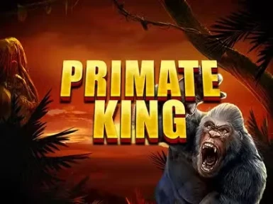 Spinmacho Casino screenshot